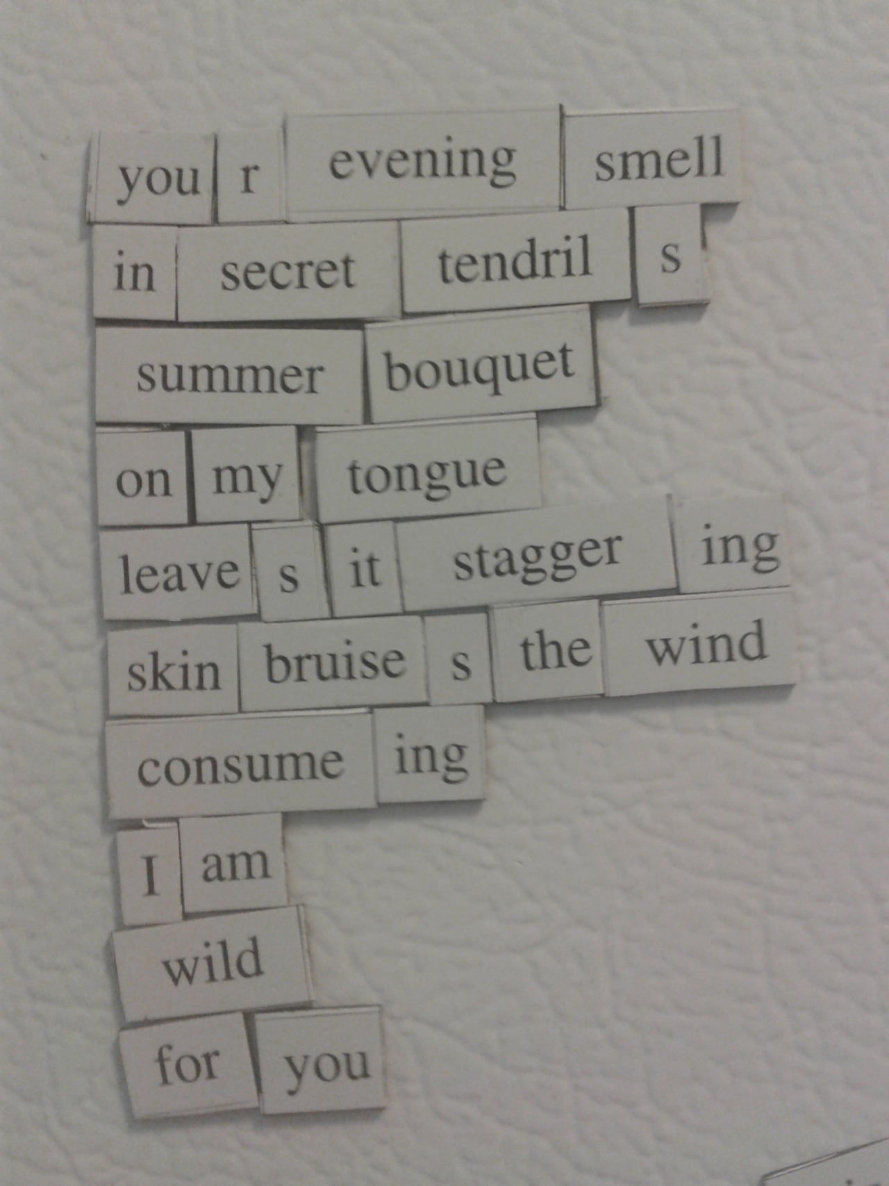 Fridge Poems